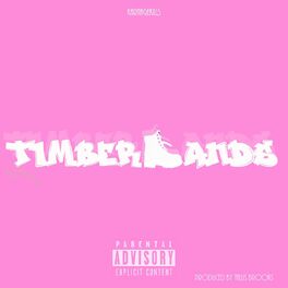 Album cover of Timberlands