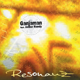 Album cover of Resonanz