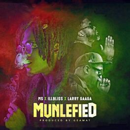 Album cover of Munlefied