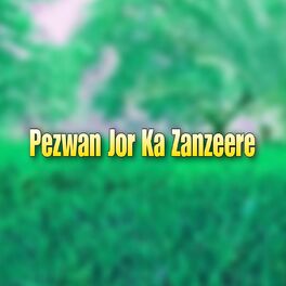 Album cover of Pezwan Jor Ka Zanzeere