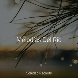 Album cover of Melodías Del Río