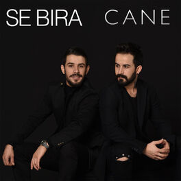 Album cover of Cane