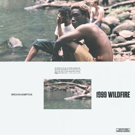 Album cover of 1999 WILDFIRE