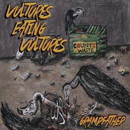 Album cover of Vultures Eating Vultures