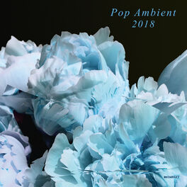 Album cover of Pop Ambient 2018