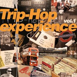 Album cover of Trip-Hop Experience Vol. 1