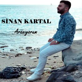 Album cover of Aranıyorum