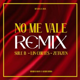 Album cover of No Me Vale (Remix)