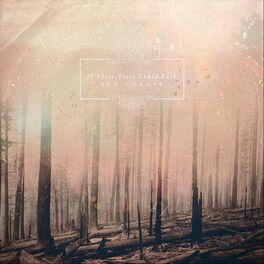 Album cover of Red Forest