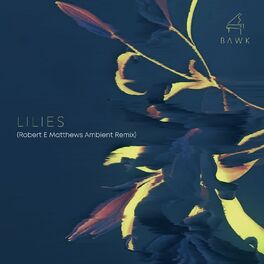 Album cover of Lilies (Robert E Matthews Ambient Remix)
