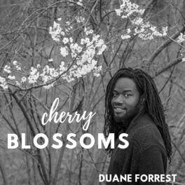 Album cover of Cherry Blossoms