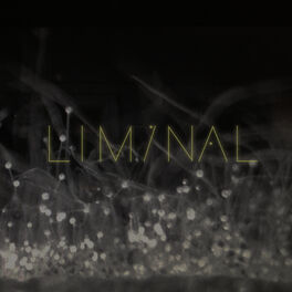 Album cover of Liminal 2