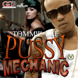 Album cover of Pussy Mechanic