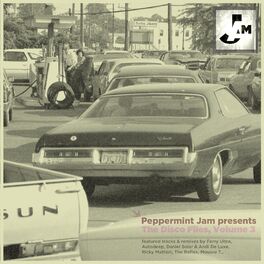 Album cover of Peppermint Jam Pres. The Disco Files, Vol.3