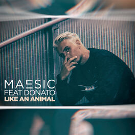 Album cover of Like An Animal