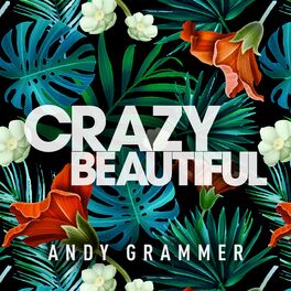 Album cover of Crazy Beautiful EP