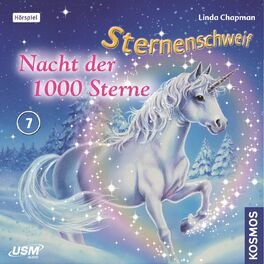 Album cover of Teil 7: Nacht der 1000 Sterne