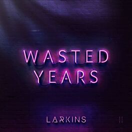 Album cover of Wasted Years