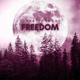 Album picture of Freedom (Underground Edit)