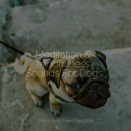 Album cover of Meditation & Mindfulness Sounds For Dogs
