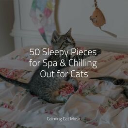 Album cover of 50 Sleepy Pieces for Spa & Chilling Out for Cats