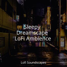 Album cover of Sleepy Dreamscape LoFi Ambience