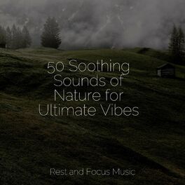 Album cover of 50 Soothing Sounds of Nature for Ultimate Vibes