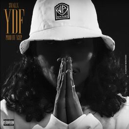 Album cover of YDF