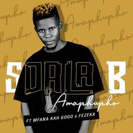 Album cover of Amaphupho