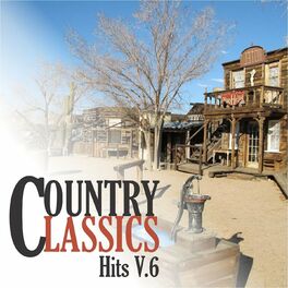 Album cover of Country Classics Hits Vol6 - Varios