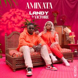 Album cover of Aminata