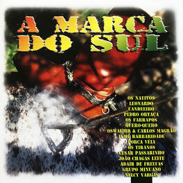 Album cover of A Marca do Sul, Vol. 2