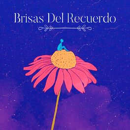 Album cover of Brisas Del Recuerdo