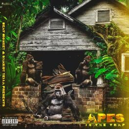 Album cover of Apes in the Trap