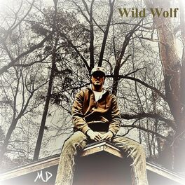 Album cover of Wild Wolf