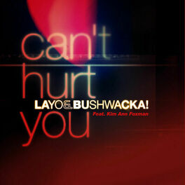 Album cover of Can't Hurt You