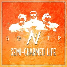 Album cover of Semi-Charmed Life
