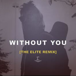 Album cover of Without You (feat. The Elite) [Remix]