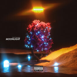 Album cover of Moonlight