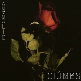 Album cover of Ciúmes