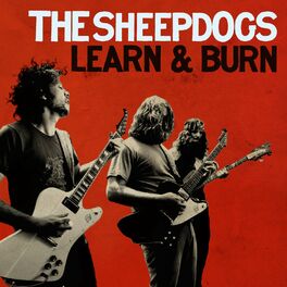 Album cover of Learn and Burn (Deluxe)