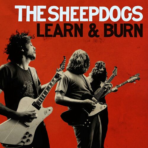 The Sheepdogs - Learn And Burn (Deluxe): Songtexte Und Songs | Deezer