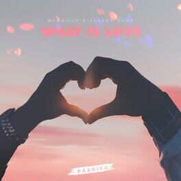 Album cover of What Is Love