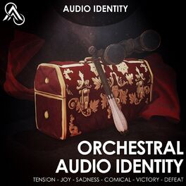 Album cover of Orchestral Audio Identity