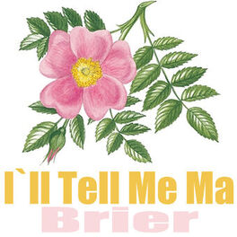 Album cover of I'll Tell Me Ma