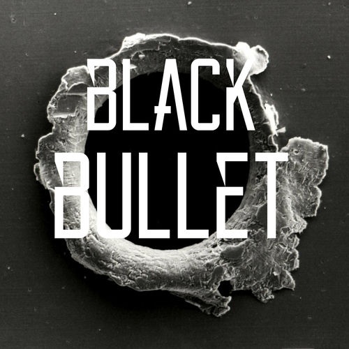 Jonathan Parecki Black Bullet Fripside Lyrics And Songs Deezer