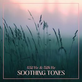 Album cover of 432 Hz & 528 Hz Soothing Tones: Quiet Music for Healing Relaxation