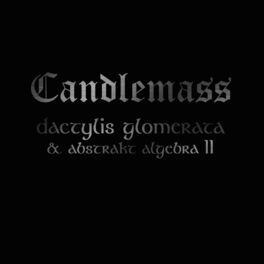 Album cover of Dactylis Glomerate & Abstrakt Algebra II