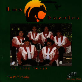 Album cover of La Perfumada