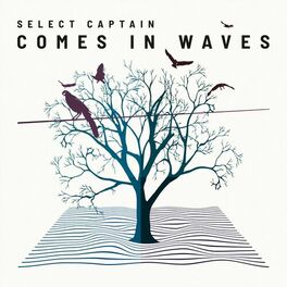 Album cover of Comes in Waves